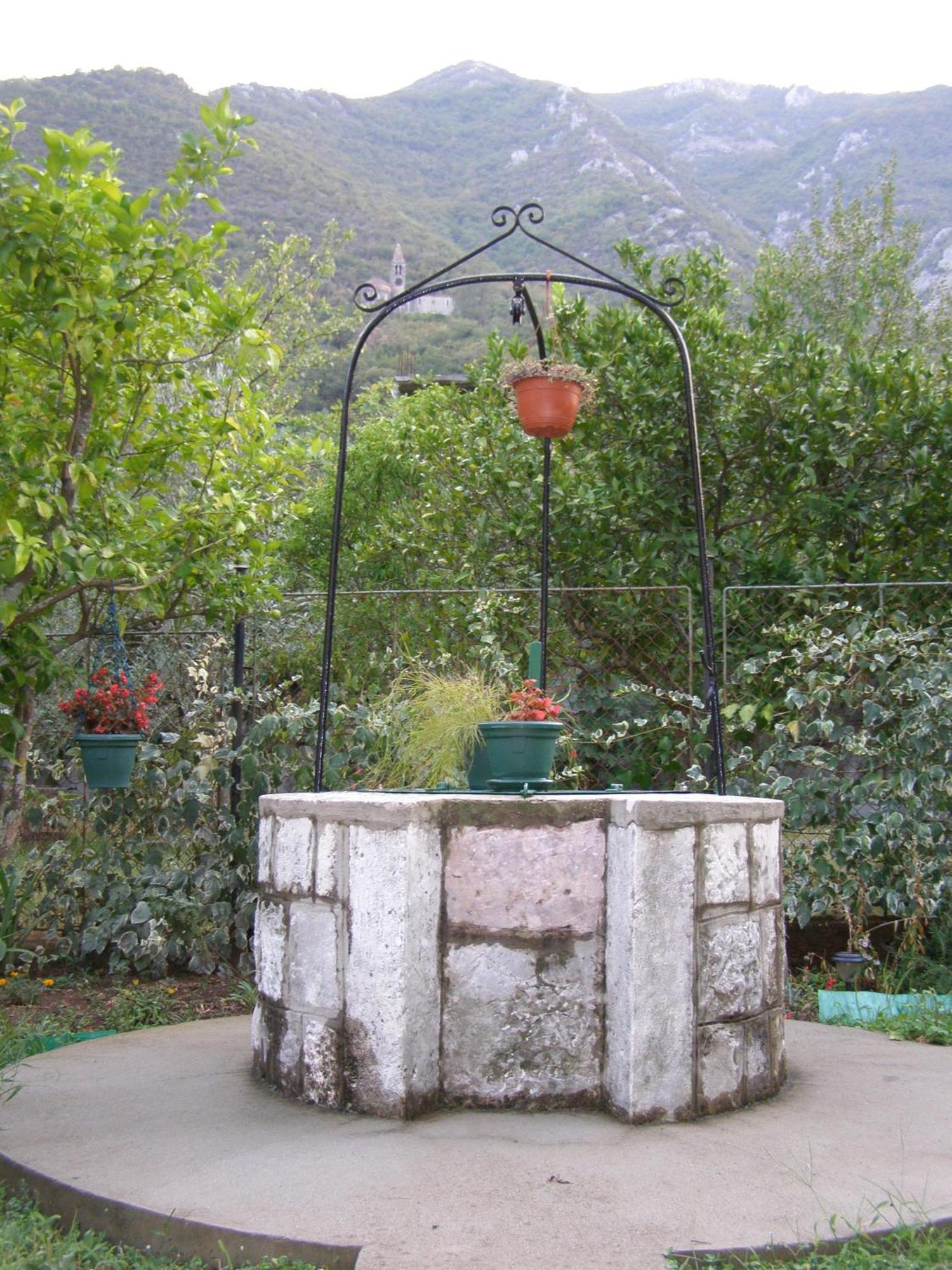 Djurovic Apartments Montenegro 科托尔 外观 照片
