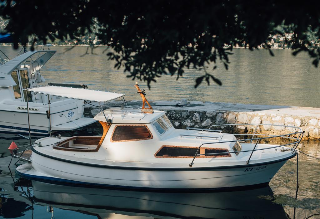 Djurovic Apartments Montenegro 科托尔 外观 照片