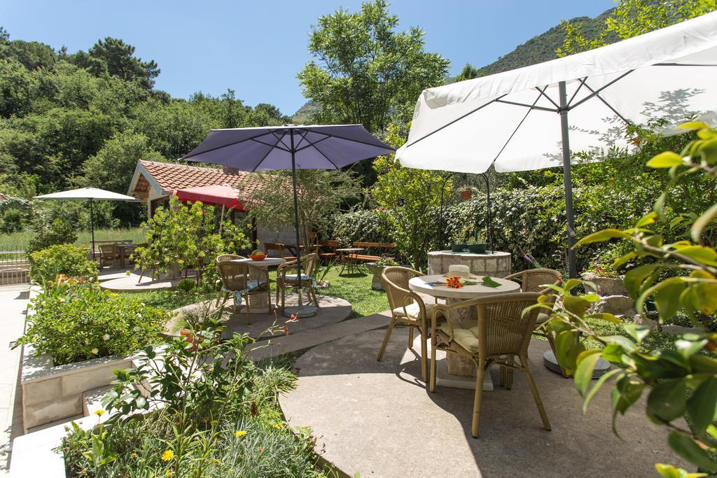 Djurovic Apartments Montenegro 科托尔 外观 照片