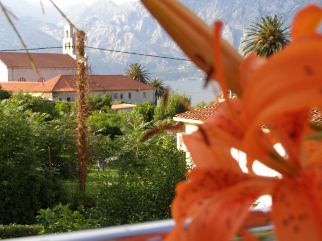 Djurovic Apartments Montenegro 科托尔 客房 照片