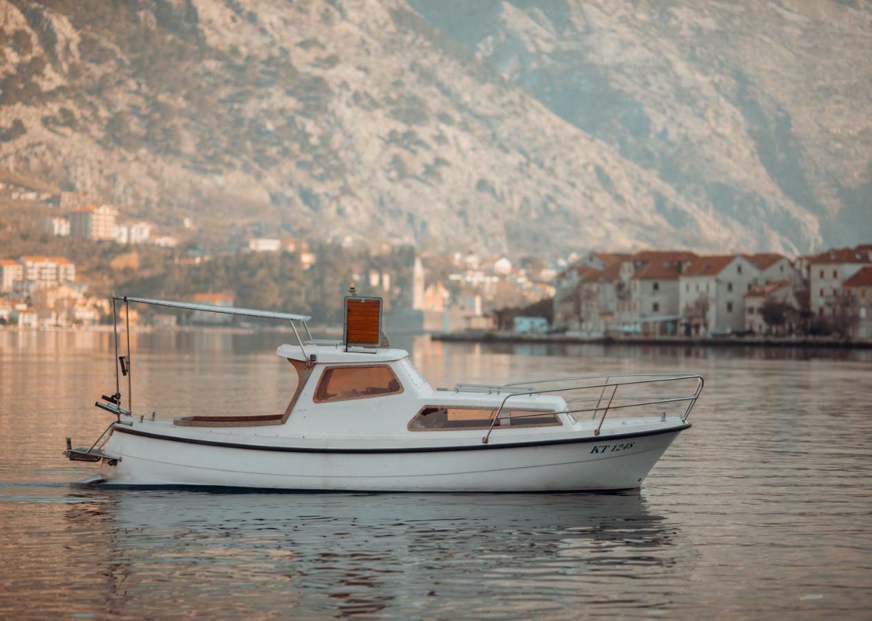 Djurovic Apartments Montenegro 科托尔 外观 照片